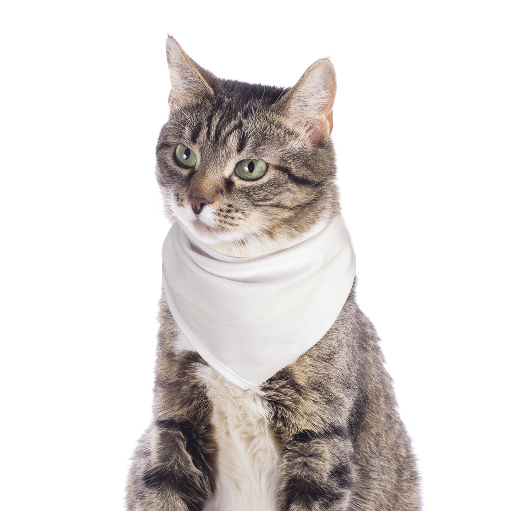 Small Breed Pet Bandana