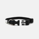 Pet Collar Large