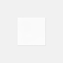 Beverage Napkin (QTY 100)