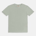 Comfort Colors Tee 1717 (DTF)