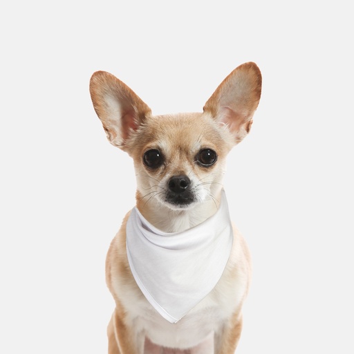 [P12] Small Breed Pet Bandana