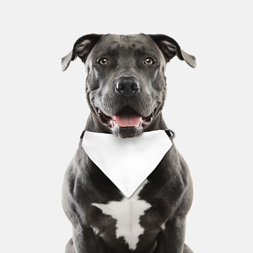 Collar Pet Bandana (LG & XL)